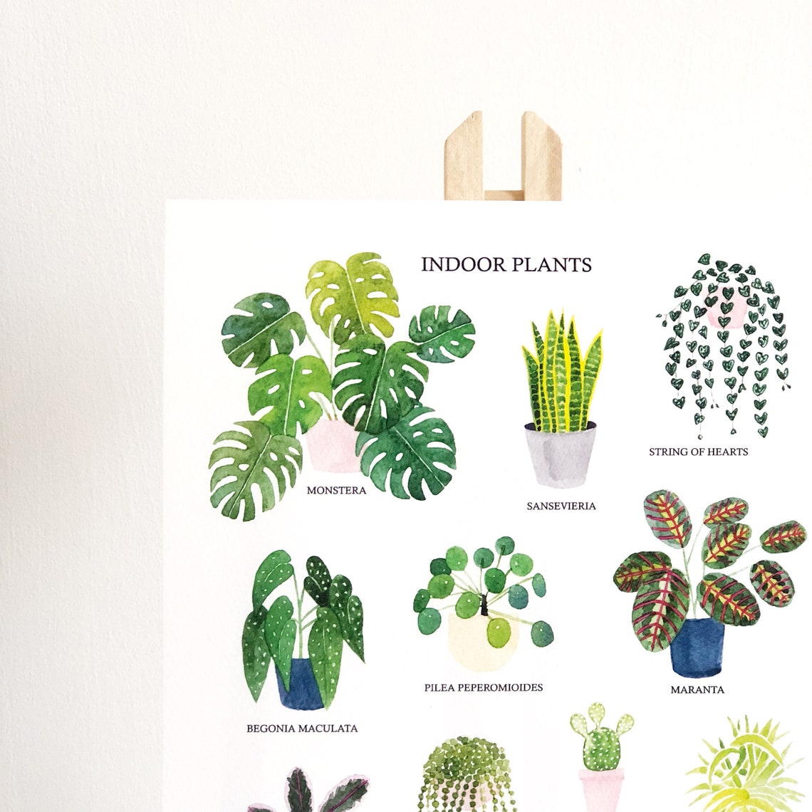 Indoor Plants Print House Plants Print Watercolour Plant - Etsy