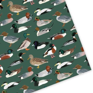 May include: A pattern featuring various duck illustrations in shades of brown, white, black, and green. The ducks are depicted in different poses and orientations against a dark green background.