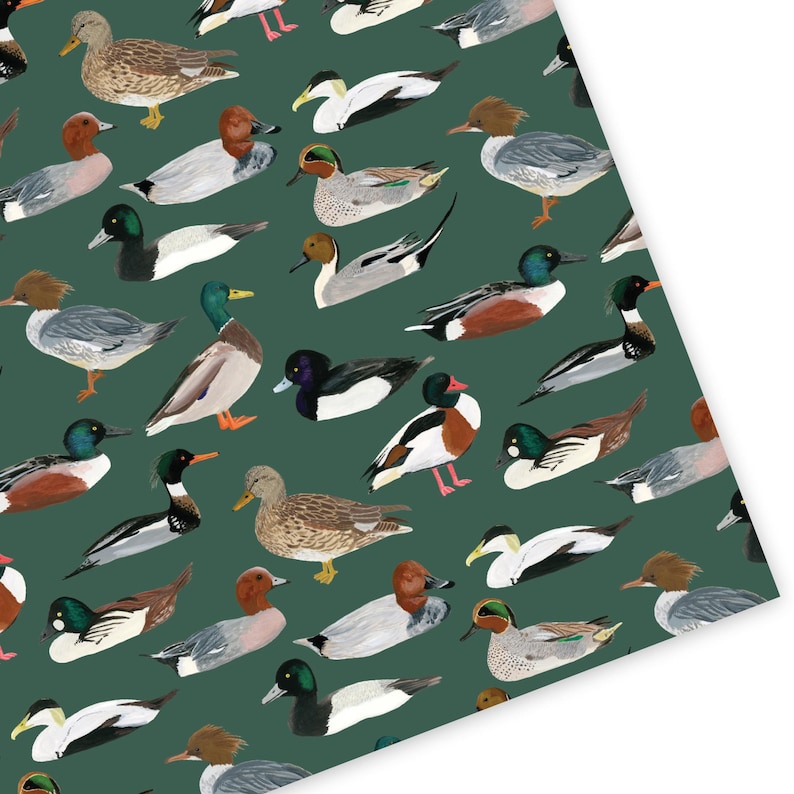 May include: A pattern featuring various duck illustrations in shades of brown, white, black, and green. The ducks are depicted in different poses and orientations against a dark green background.