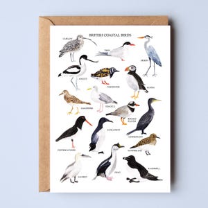 Carte oiseaux côtiers britanniques - carte de voeux oiseaux - aquarelle - carte nature britannique - carte de voeux oiseau - impression côtière - carte vierge
