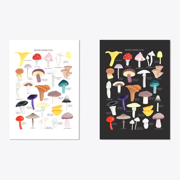 British Mushrooms Print - Mushrooms Art Print - Fungi Print - Mushroom Illustration - Mushroom Poster - Foraging Print