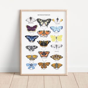 May include: A printable poster featuring illustrations of 18 different British butterflies. The poster has a white background with black text that reads "British Butterflies".