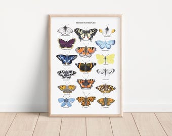 Britische Schmetterlinge Druck - Schmetterling Poster - Schmetterling Illustration - Schmetterling Geschenk - Schmetterling Geschenk -