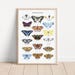 see more listings in the Affiche section