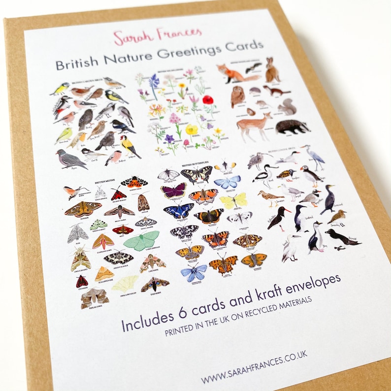 British Nature Card Pack British Nature Greetings Card Pack Greetings Card Set image 3