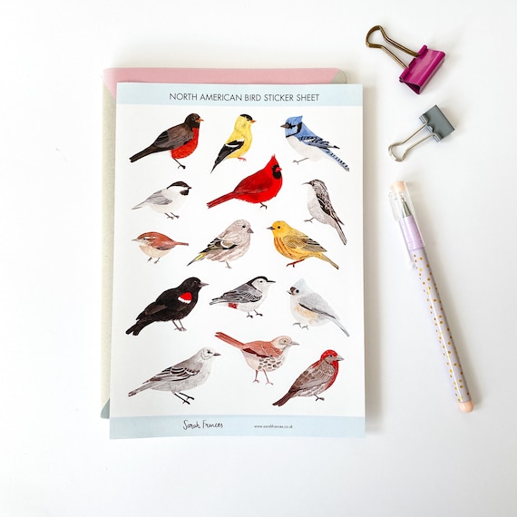 Noord Amerikaanse Vogels Stickers US Bird Stickers American Nature