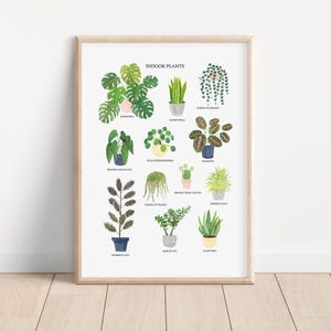 Kamerplanten print - kamerplanten print - aquarel plant kunst print - botanische kunst print - planten kunst print