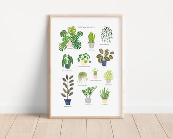 Indoor Plants Print - House Plants Print - Watercolour Plant Art Print - Botanical Art Print - Plants Art Print