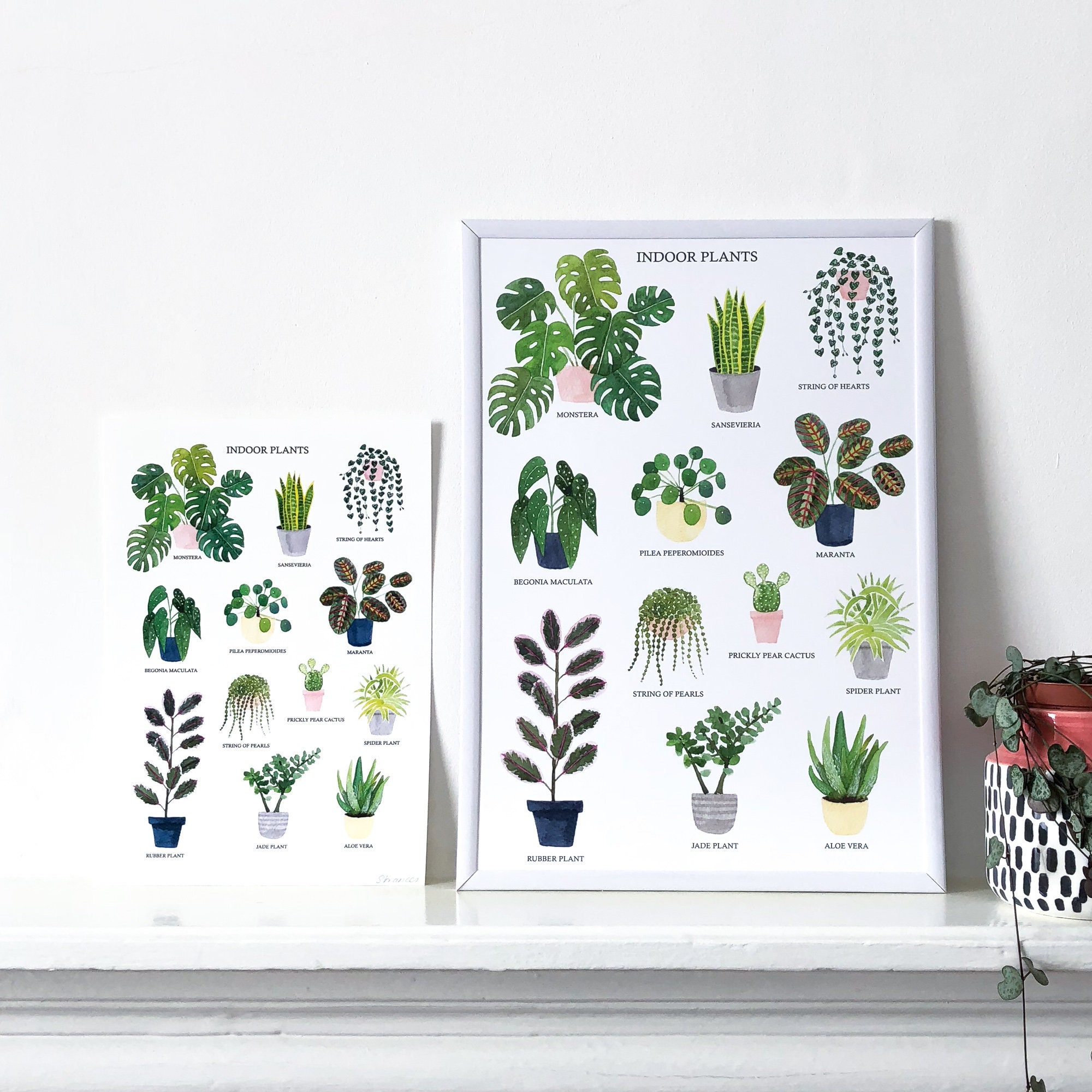 Indoor Plants Print House Plants Print Watercolour Plant | Etsy