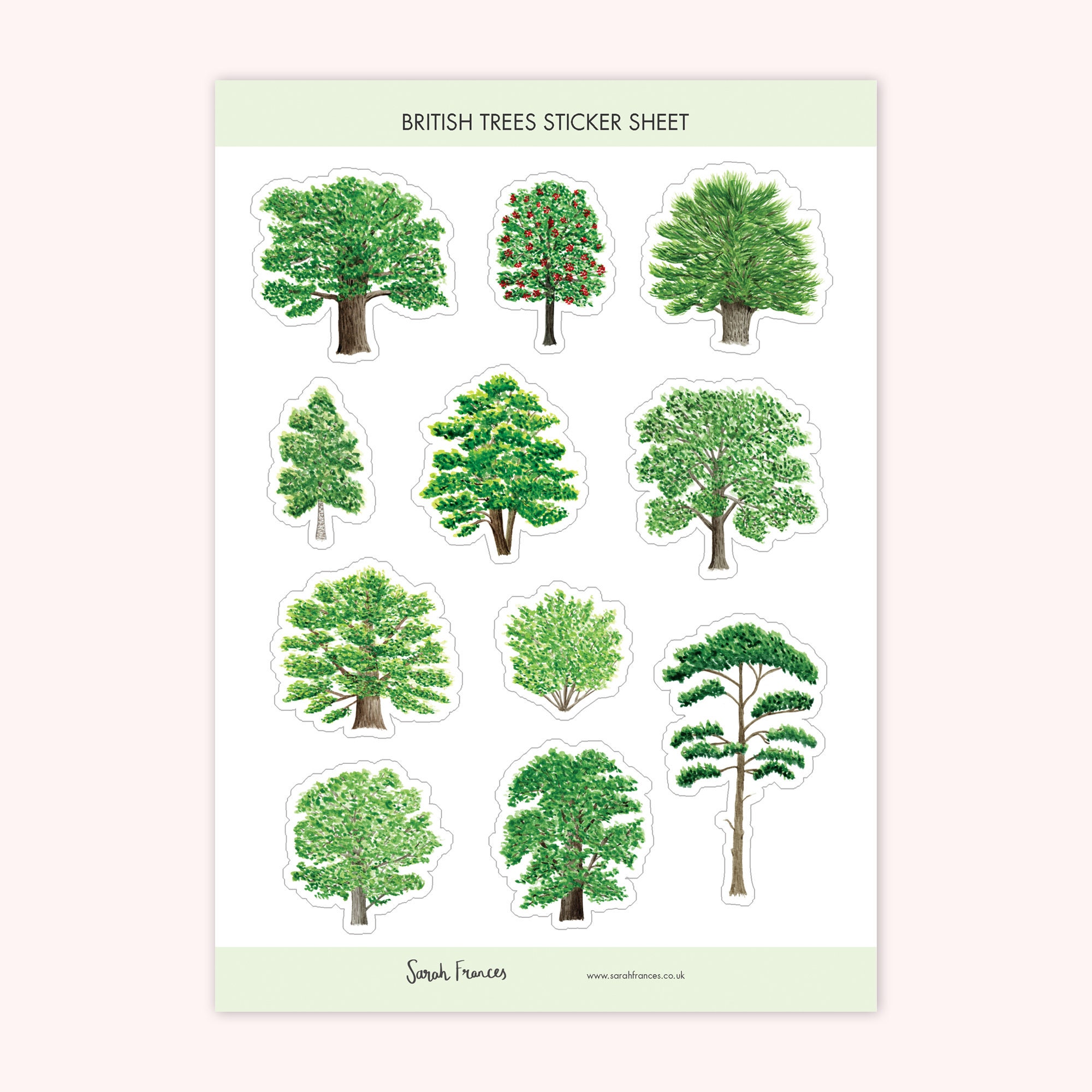 British Tree Sticker Sheet Watercolour Tree Stickers Tree Stickers