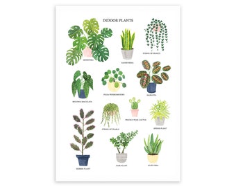 Indoor Plants Print - House Plants Print - Watercolour Plant Art Print - Botanical Art Print - Plants Art Print