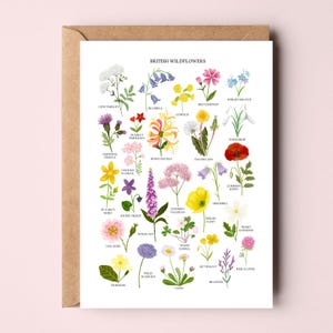 Carte de fleurs sauvages britanniques - carte de voeux florale - Illustration de fleurs sauvages - impression nature britannique - impression florale - impression botanique