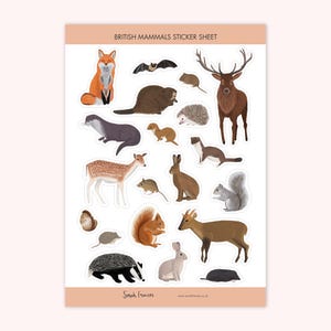 Britische Säugetiere Aufkleber - Britische Wildtier-Aufkleber - Wildtier-Aufkleber - Waldaufkleber