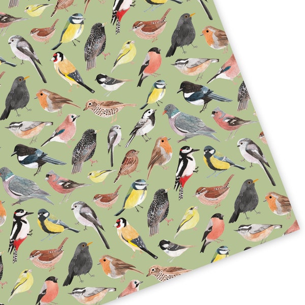 British Birds Wrapping Paper - Bird Gift Wrap - Garden Birds Gift Wrap - Nature Gift Wrap - Recyclable Wrapping Paper