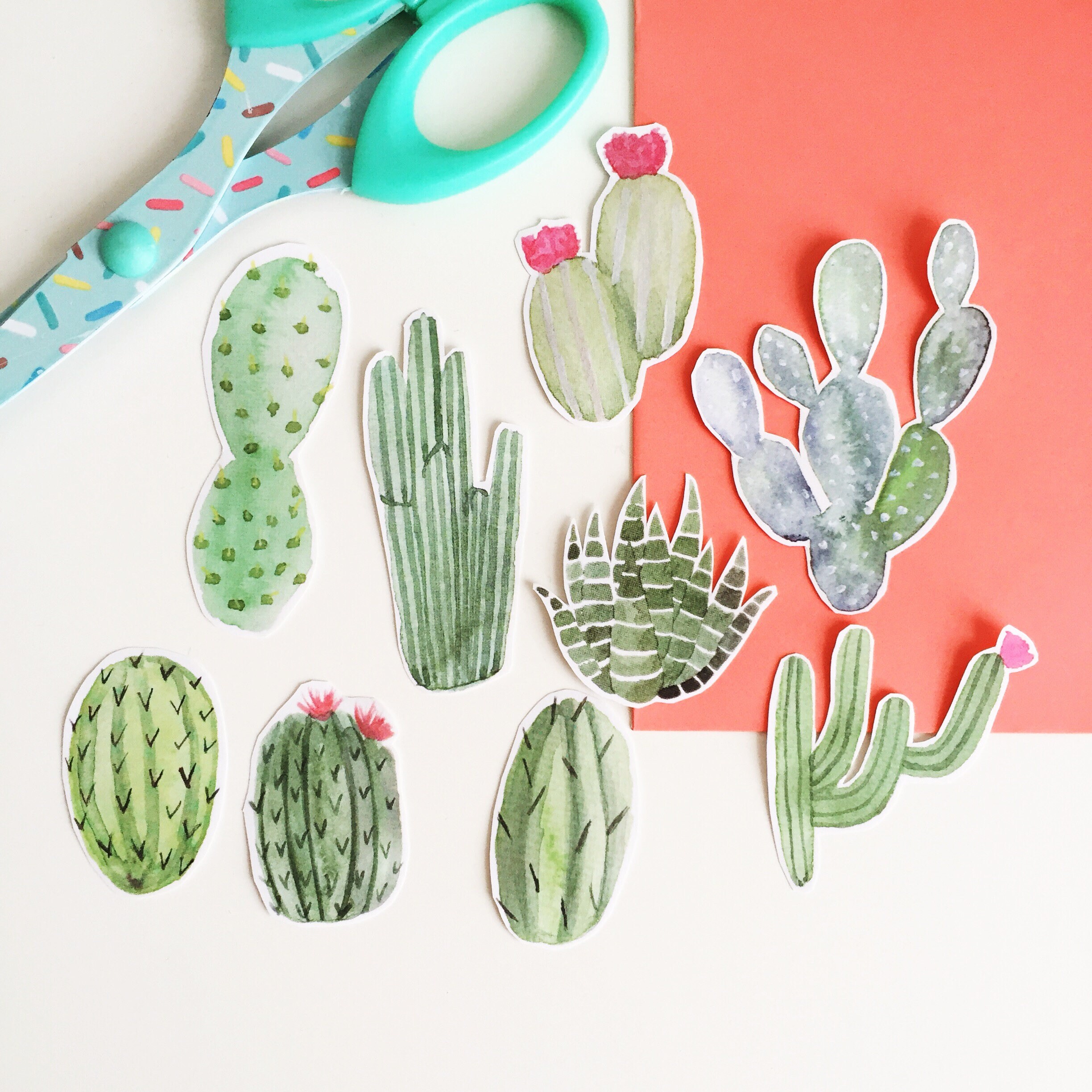 Cactus Sticker Pack Cacti Stickers Illustrated Stickers Etsy