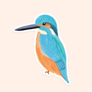 Kingfisher Vinyl Sticker - British Nature Vinyl Sticker - Kingfisher Sticker - Water Bird Sticker - Blue Bird Sticker - Kingfisher Decal