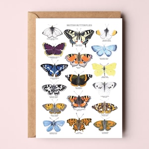 Britische Schmetterlings-Grüsskarte - Schmetterlingskarte - Schmetterlings-Karte - Schmetterlings-Kunstkarte - Botanische Kunst - Schmetterlings-Illustration
