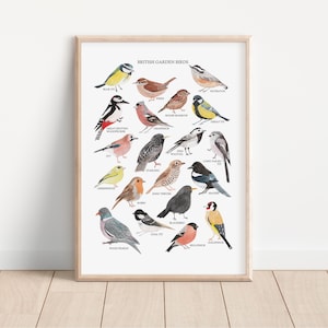 Britische Vögel Druck - Aquarell Art Print - Britischer Naturdruck - Vogel Geschenk - Aquarell Vögel - Britische Gartenvögel Druck