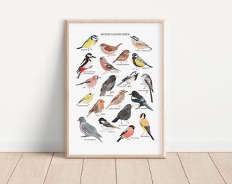 英国の鳥のプリント - 水彩画アートプリント - 英国の自然プリント - 鳥のギフト - 水彩画の鳥 - 英国の庭の鳥のプリント