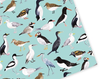 Britse kustvogels inpakpapier - Bird Gift Wrap - Seaside Birds Gift Wrap - Natuur Gift Wrap - Recyclebaar inpakpapier