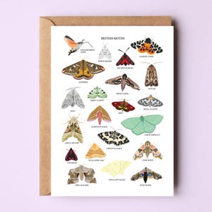 Biglietto con falene britanniche - Biglietto d'auguri con falene - Biglietto con falene - Arte murale con falene - Illustrazione di falene - Stampa artistica A6 - Biglietto con natura britannica - Fauna selvatica del Regno Unito