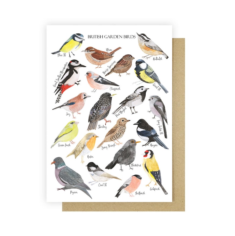 British Birds Card Greetings Card British Birds Print Bird Illustration British Nature Watercolour Birds Wildlife Postcard image 2