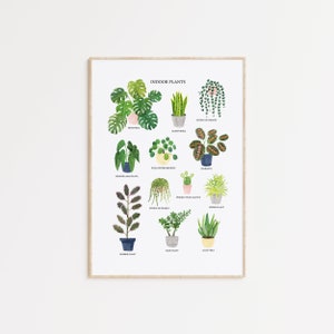 May include: A printable poster featuring illustrations of 12 popular indoor plants, including Monstera, Sansevieria, String of Hearts, Begonia Maculata, Pilea Peperomioides, Maranta, String of Pearls, Prickly Pear Cactus, Spider Plant, Rubber Plant, Jade Plant, and Aloe Vera. Each plant is labeled with its common name.
