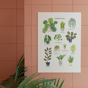 May include: A white poster with the title "Indoor Plants" and illustrations of 12 different types of indoor plants. Each plant is labeled with its name, including Monstera, Sansiviera, String of Pearls, Rubber Plant, and Spider Plant.