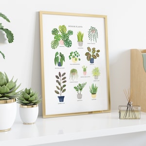 May include: A framed print with a gold frame featuring a chart of indoor plants with illustrations and names. The print is on a white shelf with a white vase with a green plant, a white vase with a green succulent, a white vase with a green succulent, a clear glass bottle with brown sticks, and a wooden file holder with green files.