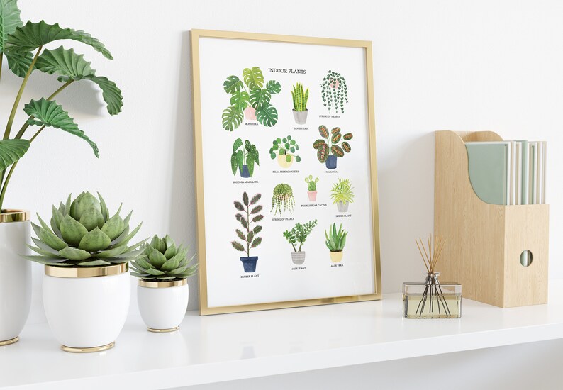 May include: A framed print with a gold frame featuring a chart of indoor plants with illustrations and names. The print is on a white shelf with a white vase with a green plant, a white vase with a green succulent, a white vase with a green succulent, a clear glass bottle with brown sticks, and a wooden file holder with green files.