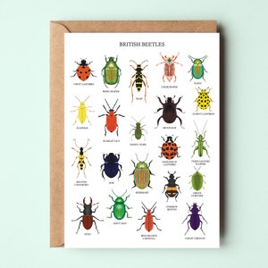 Kaart Britse kevers - keverwenskaart - keverkunst - Britse natuurkaart - kever Notecard - insectenkaart - insectenkaart