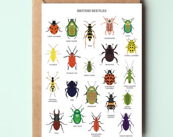 Cartão de besouros britânicos - Cartão de felicitações de besouros - Arte de besouros - Cartão de natureza britânico - Cartão de besouros - Cartão de insetos - Cartão de insetos