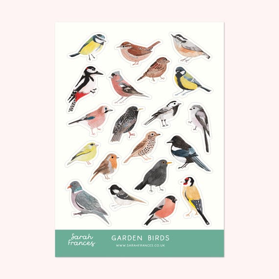 British Bird Stickers - Illustrated Stickers - Planner Stickers - Bullet Journal Stickers - BuJo Stickers - Sticker Sheet