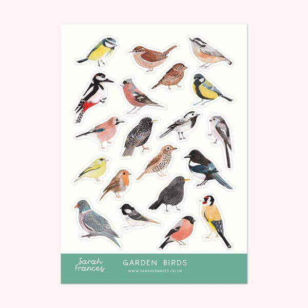 British Bird Stickers - Illustrated Stickers - Planner Stickers - Bullet Journal Stickers - BuJo Stickers - Sticker Sheet