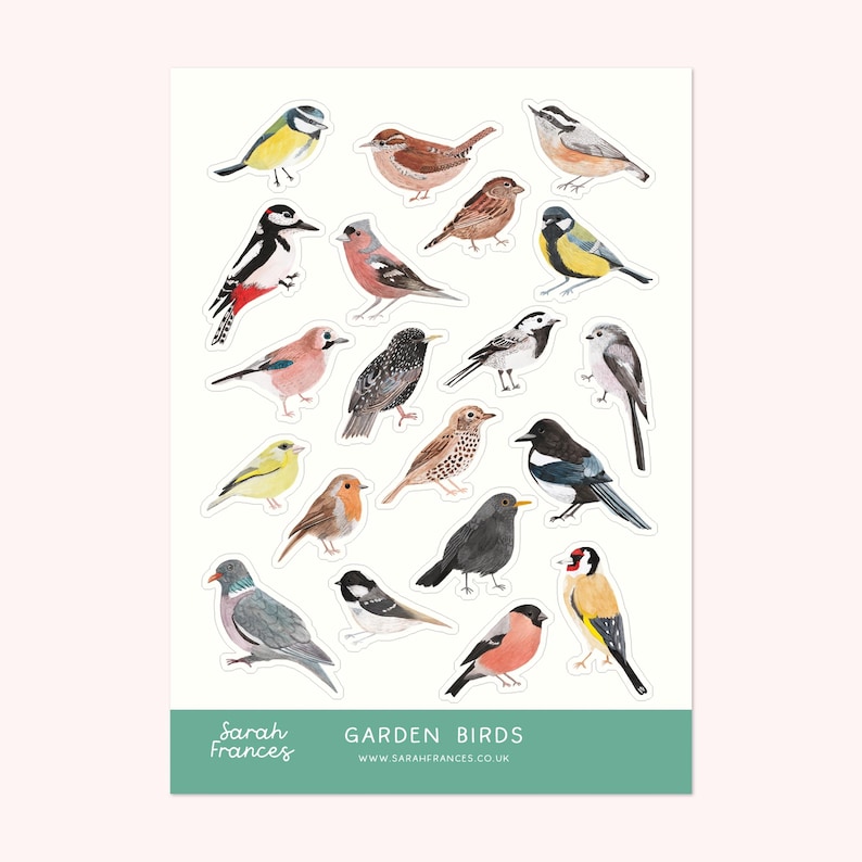 British Bird Stickers - Illustrated Stickers - Planner Stickers - Bullet Journal Stickers - BuJo Stickers - Sticker Sheet image 1