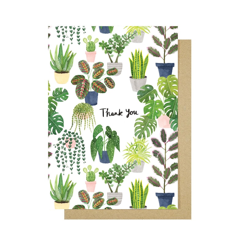 Plants Thank You Card Illustrated Plants Greetings Card Thanks Card Indoor Plants Card House Plants Card image 1