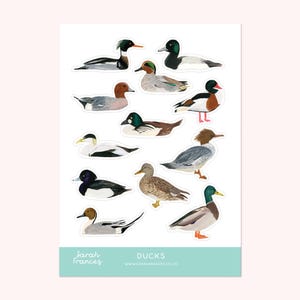 British Duck Stickers - Illustrated Stickers - Planner Stickers - Bullet Journal Stickers - Paper Duck Stickers - Sticker Sheet