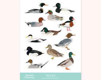 British Duck Stickers - Illustrated Stickers - Planner Stickers - Bullet Journal Stickers - Paper Duck Stickers - Sticker Sheet