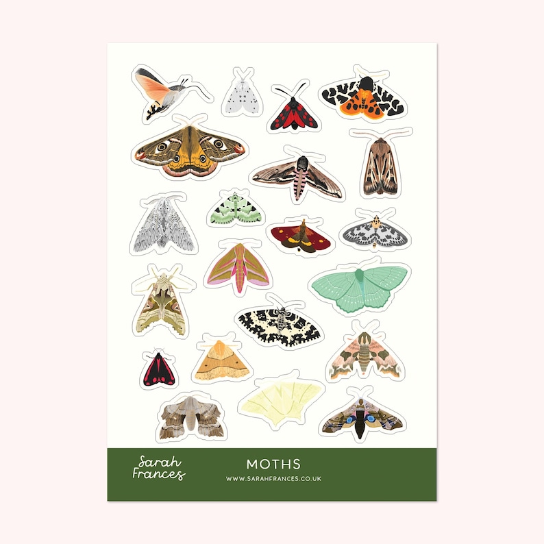 May include: A sticker sheet featuring various moth illustrations in a range of colors and patterns. The sheet includes moths with orange, brown, green, and black markings. The bottom of the sheet has the word "MOTHS" and the website address.