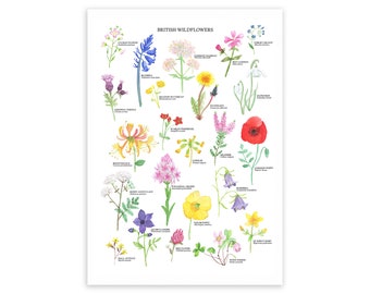 British Wildflowers Print - Wildflower Art Poster - Watercolour Flower Print - Wildflower Illustration - British Nature Print - Floral Print