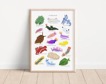 Nudibranch Print - Sea Slug Identification Print - Sea Slug Illustration - Nudibranch Illustration  - Nudibranch Art Print - Sea Slug Print