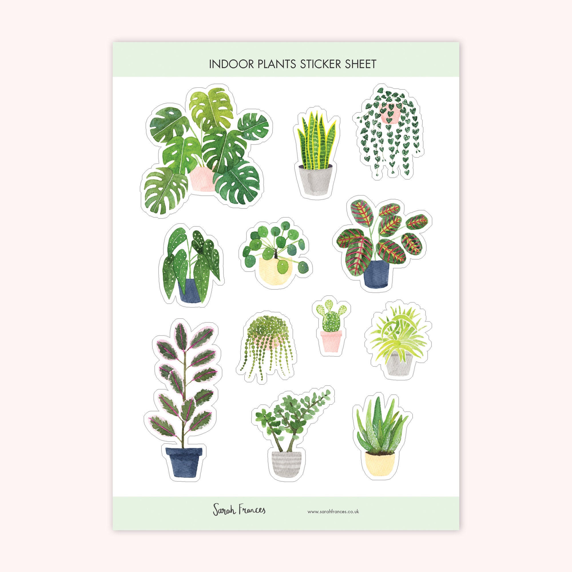 PLANT Stickers / Plant Sticker Sheet 