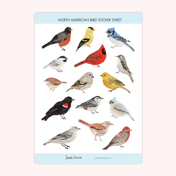 North American Birds Stickers US Bird Stickers American Nature