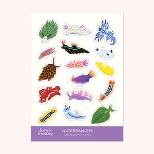 May include: A sticker sheet with illustrations of diverse nudibranchs in vibrant colours. The designs showcase various shapes and hues, including green, blue, yellow, and purple. The sheet features the text "NUDIBRANCHS" and the artist's name.