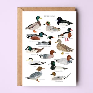British Ducks Card - Ducks Greetings Card - Duck Art - British Nature Card - Duck Notecard - Card for Bird Lover