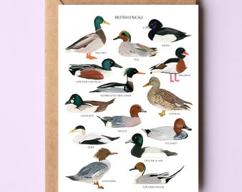 British Ducks Card - Ducks Greetings Card - Duck Art - British Nature Card - Duck Notecard - Card for Bird Lover