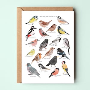 British Birds Card - Wenskaart - British Garden Birds Card - Bird Illustration - British Nature - Aquarelvogels - Wildlife Card
