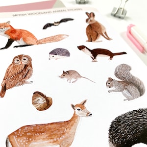 Woodland Animal Stickers British Wild Animal Stickers Wildlife Stickers Woodland Stickers Watercolour Stickers image 4