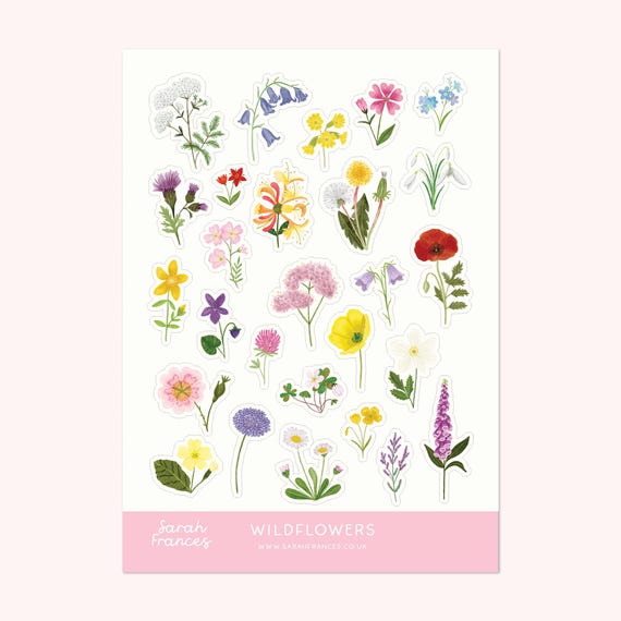 British Wildflower Sticker Sheet - Illustrated Stickers - Planner Stickers - Bullet Journal Stickers - British Nature Sticker Sheet