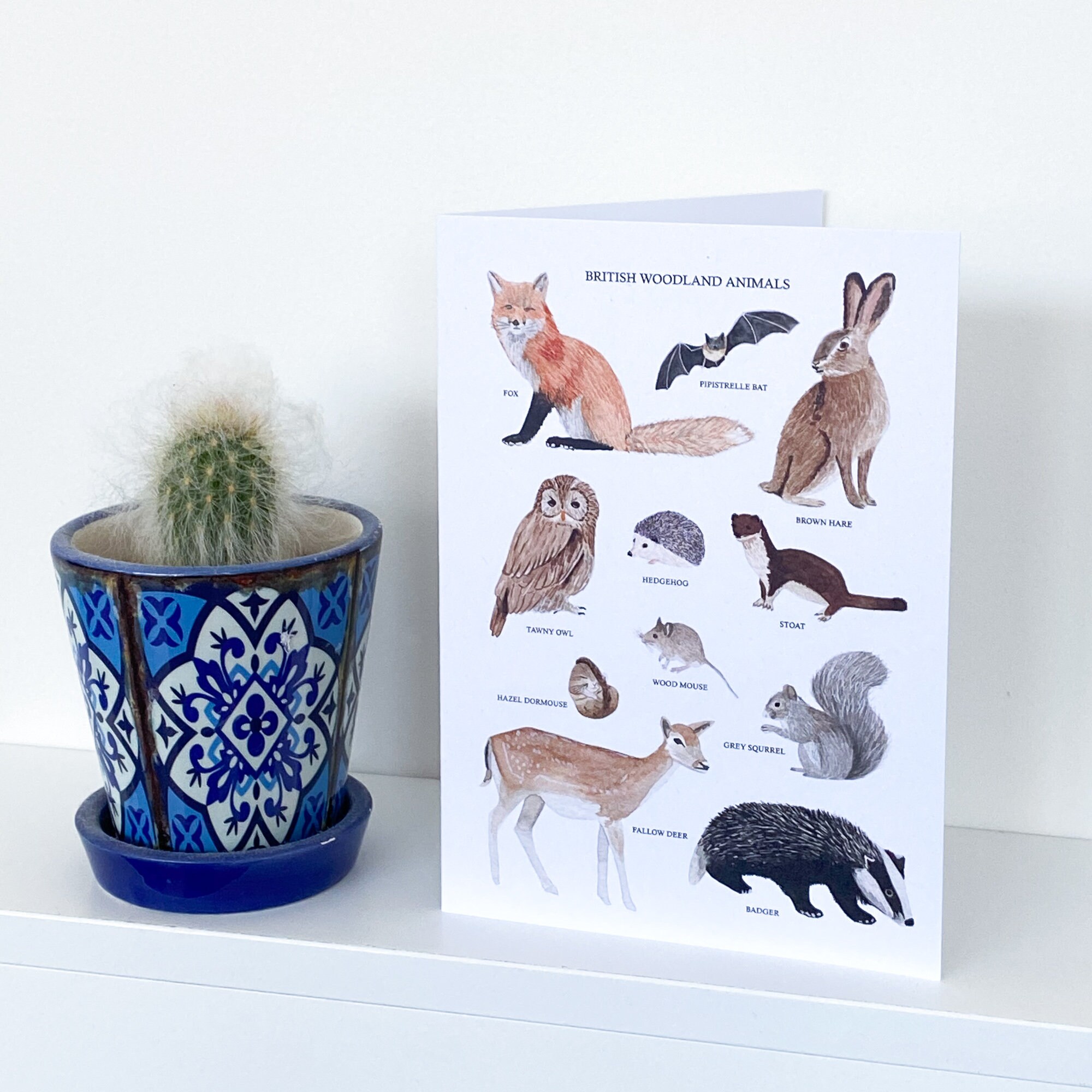 Woodland Animals Greetings Card British Wild Animal Card | Etsy